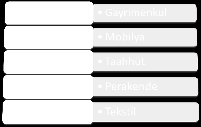 2014 Türkiye Elektrik