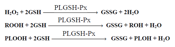 Fosfolipid Hidroperoksit Glutatyon Peroksidaz (PLGSH-Px) adı verilen enzim ise membran fosfolipid hidroperoksitlerini alkollere indirger.