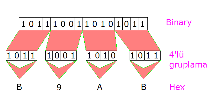 Binary Sayının