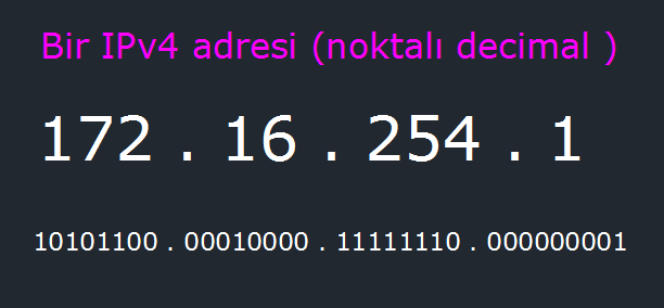 Örnek bir IPv4 adresi: Noktalı