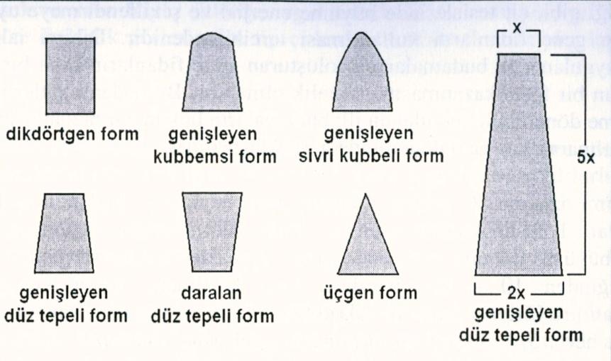 Çitlerde