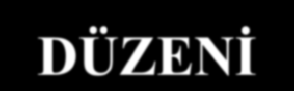 PUAN DÜZENİ Puan Derece 85-100 Pekiyi 70-84,99