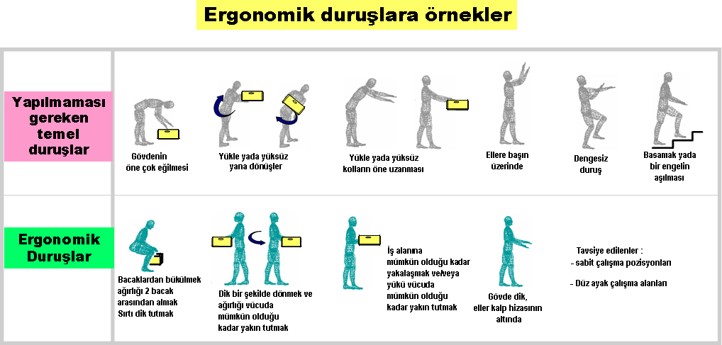 ERGONOMİ