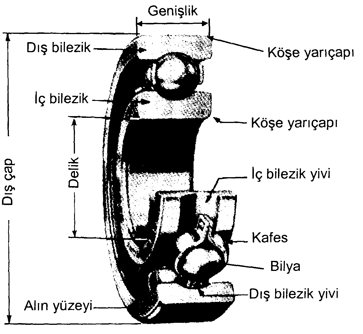 Giriş