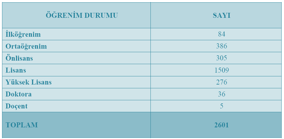 D. İNSAN KAYNAKLARI Bakanlığımız insan kaynaklarının nicel durumu ile niteliğine ilişkin bilgiler aşağıda tablolar halinde sunulmuştur. 1.