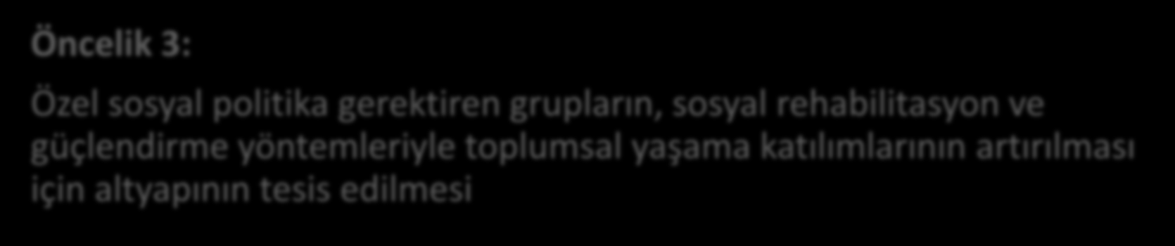 ÖRNEK PROJE KONULARI Öncelik 3: Özel sosyal politika gerektiren grupların, sosyal rehabilitasyon ve güçlendirme yöntemleriyle toplumsal yaşama katılımlarının artırılması için altyapının tesis