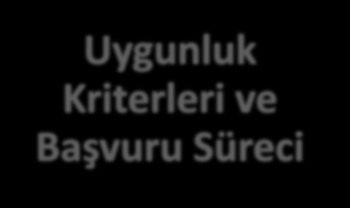 GÜNDEM Amaçlar Programın amacı nedir? Programın öncelikleri nelerdir? Örnek proje konuları nelerdir?