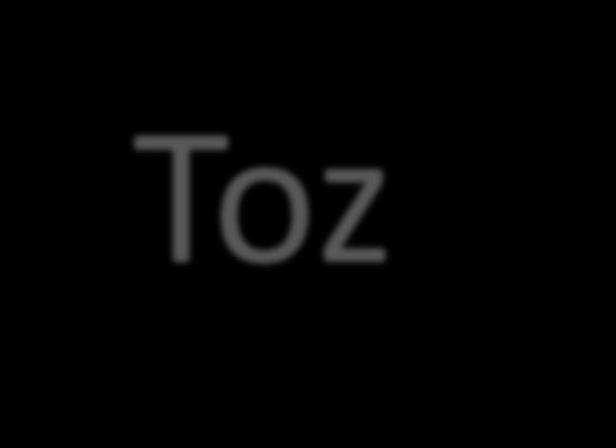 Toz