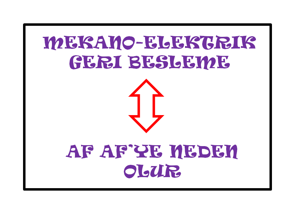 Elektriksel, kontraktil ve yapısal yeniden şekillenmenin AF potansiyel etkileri AF: Atriyal fibrilasyon; APD: