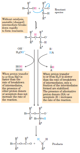 GENEL ASİT-BAZ KATALİZİ Amit peptit- bağının kırılması esnasında kararsız ara bileşikten proton alıcısı ve amine proton sağlayıcı yoksa tepkime