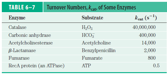 ENZİM KİNETİKLERİ-k kat Bu katsayı ayrıca turnover (dönüşüm) sayısı olarak adlandırılır!