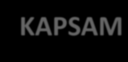 KAPSAM Anket birimleri: en fazla ihracat ve ithalat yapan ilk 500 er firma İhracatın %54,3 ü, İthalatın %65,5 i (2013) Uygulama: Firmaların üst düzey yöneticileri