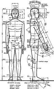 Resim 5.12. Antropometride, insan vücudundan yüzlerce ölüçü edinilir.