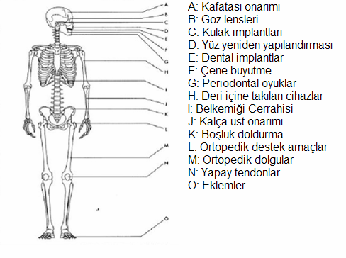 Biyoseramiklerin insan vücudunda kullanıldığı bölgeler Şekil 3.