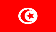 faaliyete baģlamıģtır. * TAV, TAV Tunisie SA nın %15 hissesini IFC ye 2009 yılında satmıģtır. Havayolu şirketi bazında Ticari uçuş Dağılımı (2009) Yolcu Trafiği 2003-2009 (m) 4.1 4.2 4.