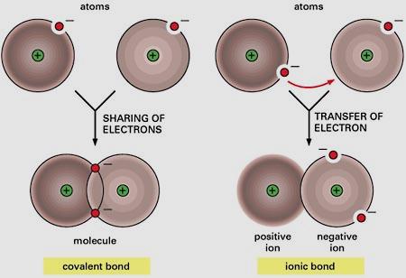 transferi Kovalent bağ ionik