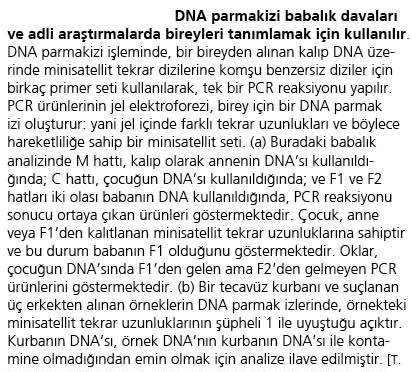 DNA PARMAKİZİ PCR sonucunda elde edilen DNA