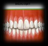 Total Vücut Fosforu %85 kemik ve dişlerde hidroksiapatit %15 %1 intrasellüler