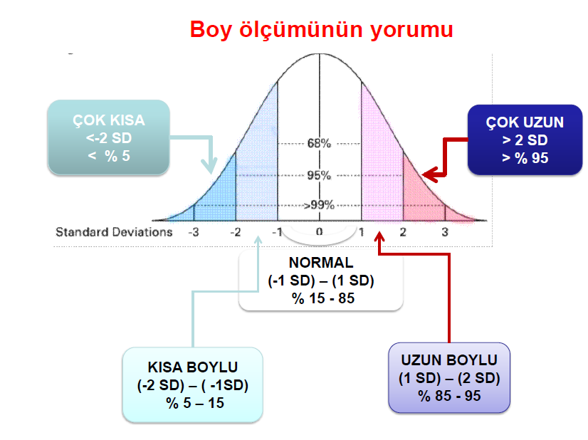 21.01.2015 Prof.