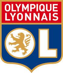 OLYMPIQUE LYONNAIS Holding şeklinde yapılanan OL Grubu adı altında farklı alanlarda faaliyet gösteren dokuz şirket bulunmaktadır.