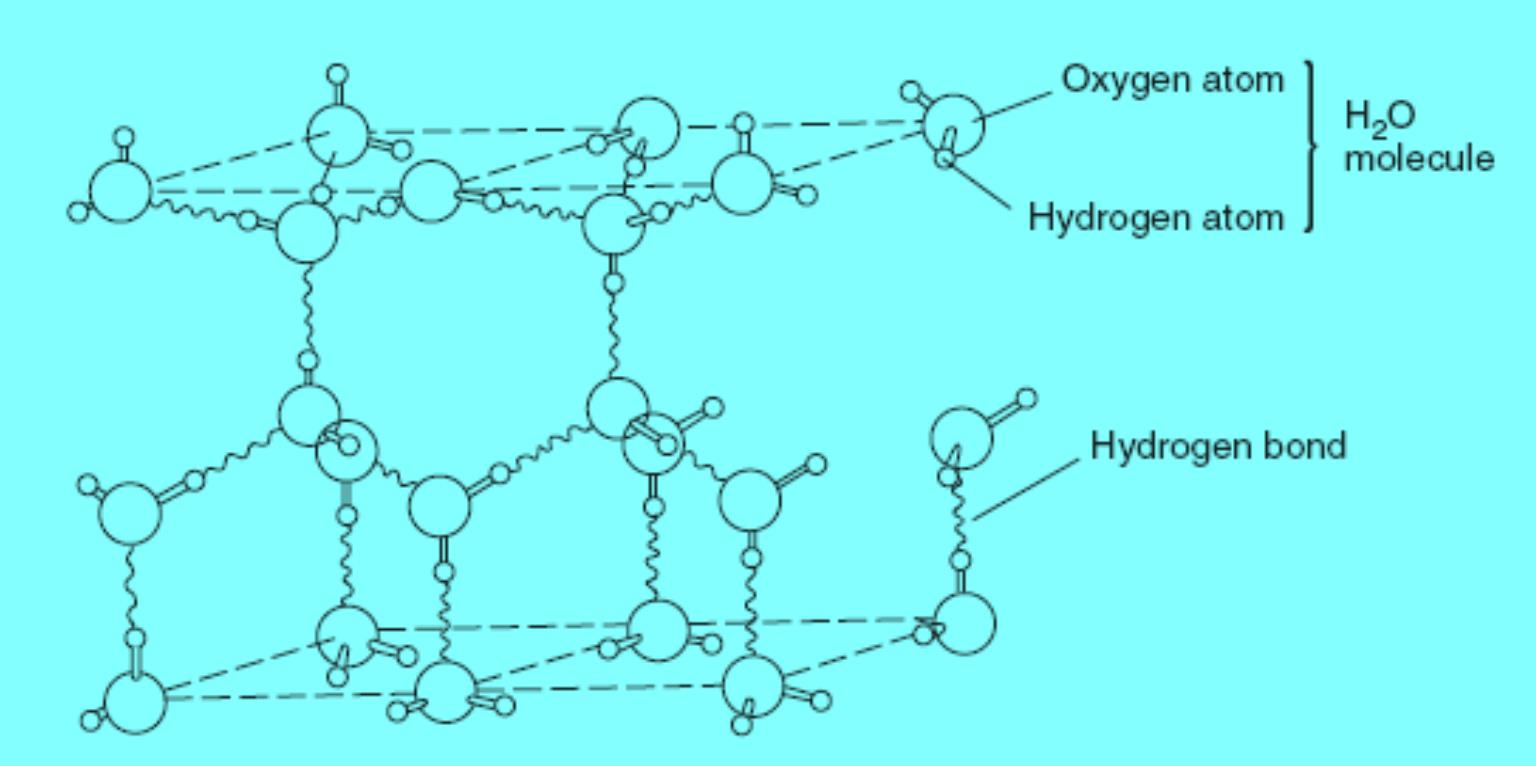 Hidrojen Bağları Hidrojen bağları suyu oda sıcaklığında sıvı, ve katı polimeri