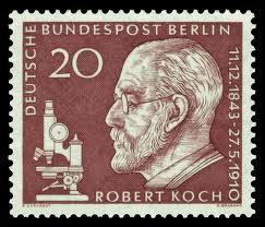 Robert Koch, 1881, Almanya, Ateş ve