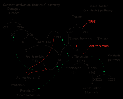 Tablo2: Hemostaz mekanizması Nature Clinical Practice Cardiovascular Medicine (2008) 5, 766780. 2.1.3.