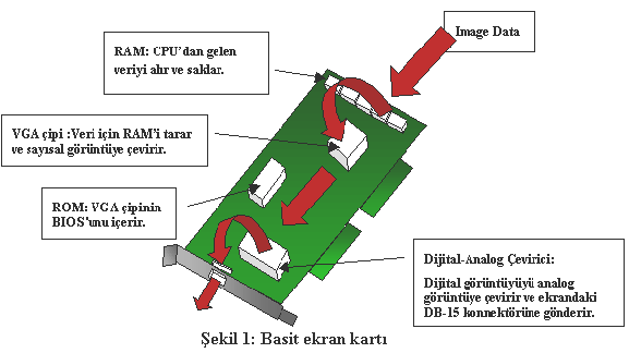 Genel Özellikleri GRAFĠK KARTLARI Bilgisayarın görüntü çıkıģ birimi ekrandır.