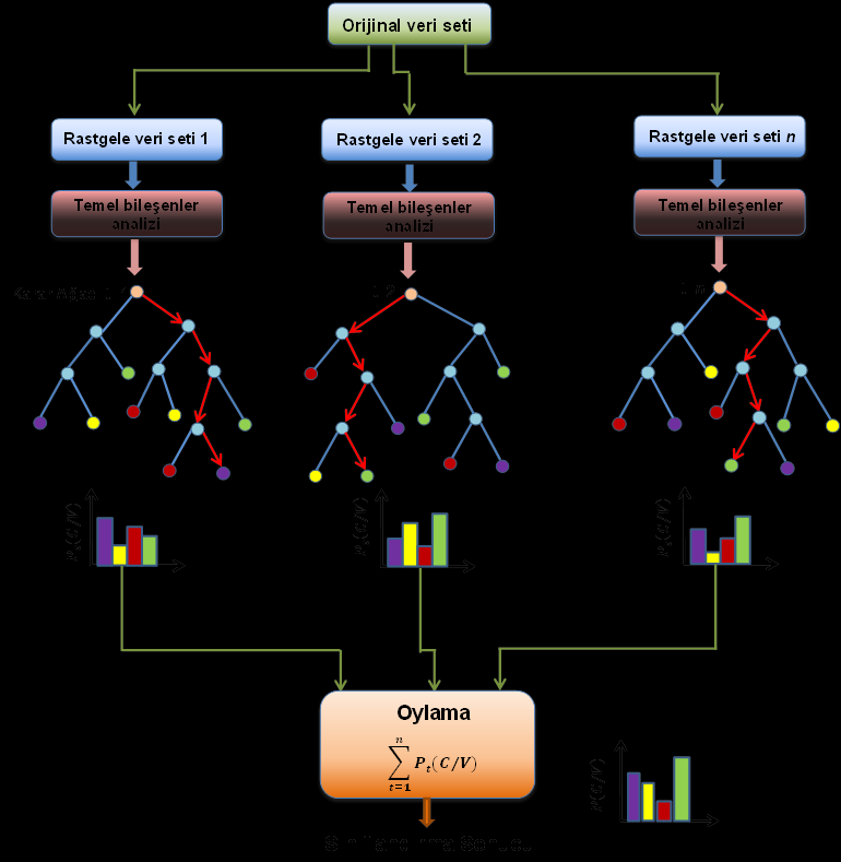 ağaç kullanılmaktadır. Ancak ormandaki her bir karar ağacının eğitiminde kullanılacak veri seti temel bileşen analizi yardımıyla belirlenmektedir (Şekil 2.17).