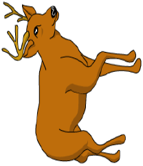 A) WHAT IS THIS? B) IT IS A DEER SONG: OLD MACDONALD Old MacDonald had a farm, Ee i ee i oh!