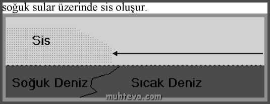 Kara Sisleri (Radyasyon sisleri): Bu sisler, sıcaklık terselmelerinin görüldüğü yerlerde ve dönemlerde kara içlerinde oluşurlar.