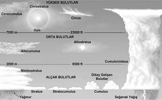 Subtropikal okyanusların doğu yanlarında, çöl kıyılarındaki soğuk su akıntılarının bulunduğu yerlerde de sisler fazlaca olur.