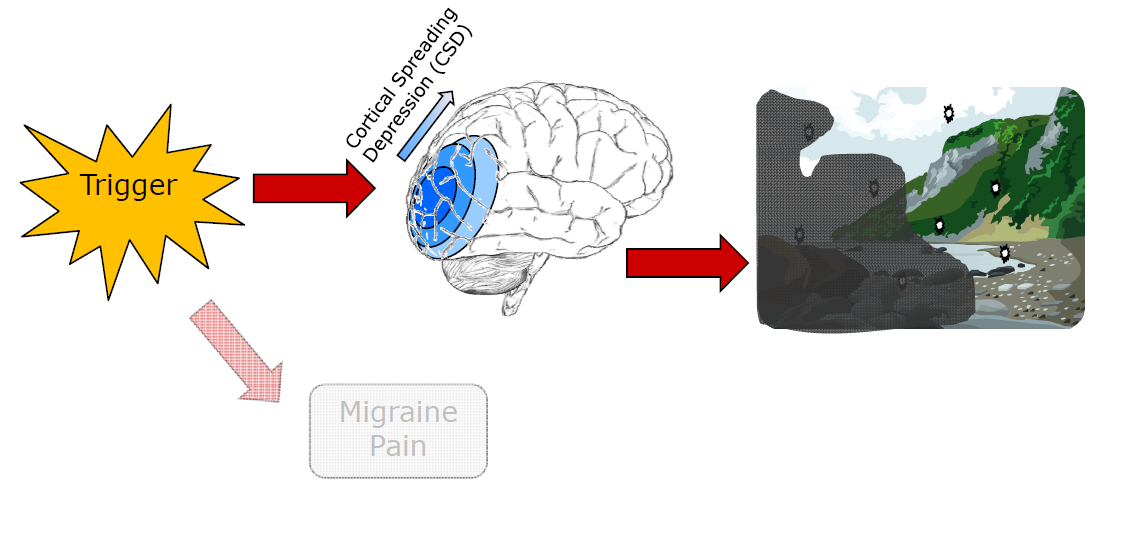 Aura Patofizyolojisi Migren aurasının açıklanması Leao tarafından ortaya konulan kortikal yayılan depresyona (cortical spreading depression)