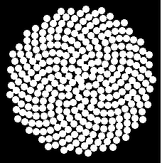 Fibonacci sayıları ayrıca çiçeklerin tohumlarında da görülebilir.