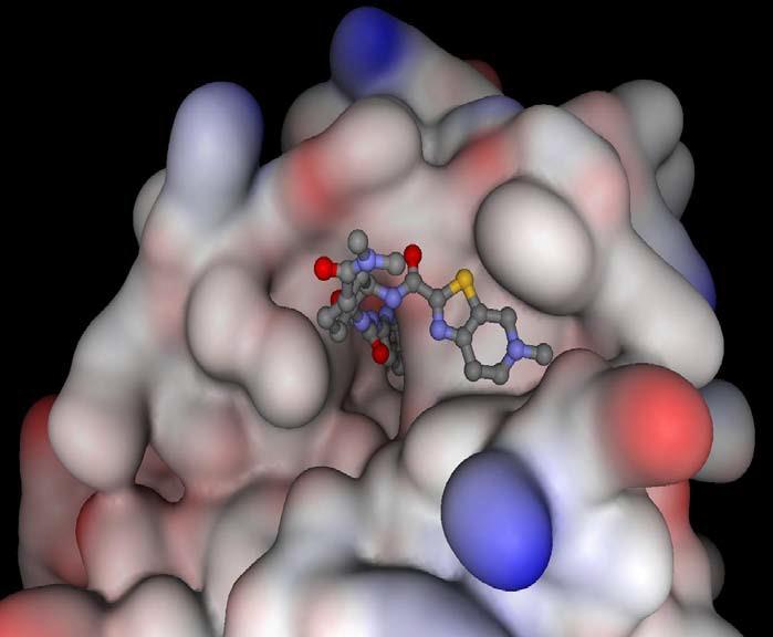 Edoksaban Direkt faktör Xa inhibitörü Oral biyoyararlanım % 62 Maks serum kons 1-2 saatte T ½ yaklaşık