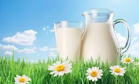 Tüketim Durumu Evinizde süt tüketiliyor mu?