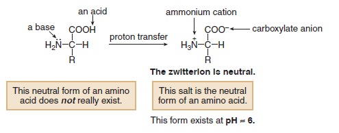 Amino asitler yapılarındaki gruplardan dolayı hem asit hem de bazik özellik gösterdiği içinu tuz amino asitin nötral formudur.