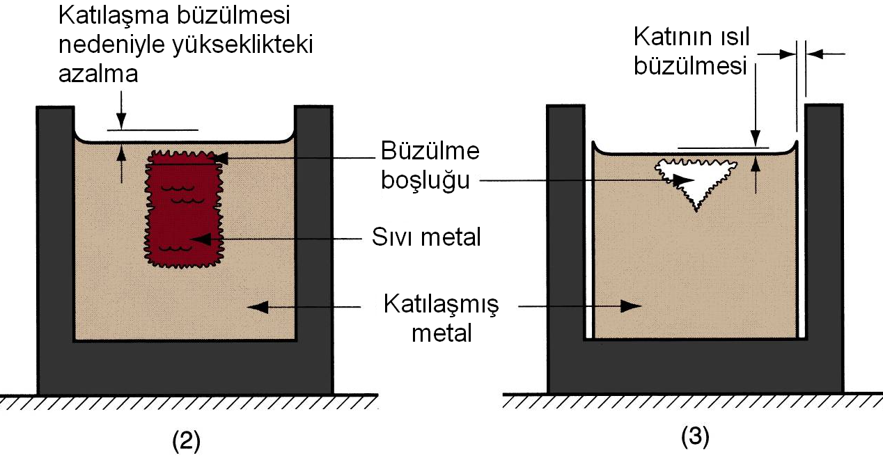 Katılaşma ve Soğumadaki Büzülme (2) Katılaşma büzülmesinin neden olduğu çekme boşluğunun oluşumu ve yükseklikteki azalma; (3) katı metalin soğuması