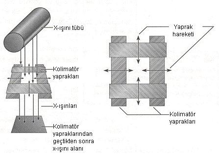 Şekil 4.7: Kolimatör yaprakları. ([6], Şek.2-8) 4.2.2.3. Gantry nin meme pozisyonlama bölümü Sıkıştırma donanımı Meme X-ışını kaynağı ve görüntü alıcıları arasına konumlandırılır.