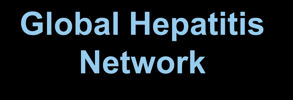 Global Hepatitis Network Global, bölgesel ve ülkesel düzeylerde ve VH'in önlenmesi, taraması, bakım ve tedavisi