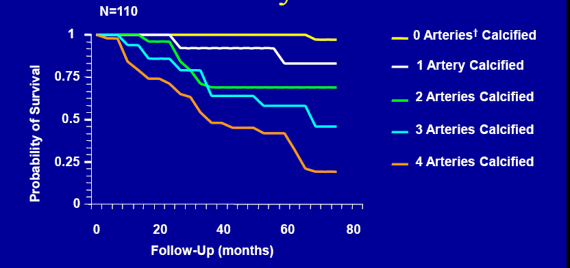 Arteriyel Kalsifikasyon