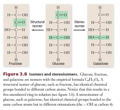 Şeker izomerleri farklı yapısal özelliklere sahiptir. Altı karbonlu şekerlerin genel formülü C 6 H 12 O 6 dür.