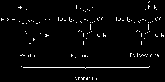 Piridoksin (B6 Vitamini) Biokimyasal Etkisi Pantotenik asidin önemi KoA yapısına girmesidir.