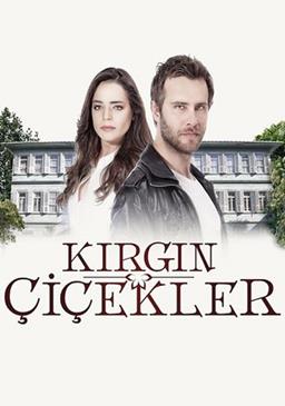 Kara Sevda Ve Kırgın Çiçekler Yeni Sezonda Devam Kararı Aldı Yapımcılığını Ay Yapım ın yaptığı, başrollerinde Burak Özçivit, Neslihan Atagül ve Kaan Urgancıoğlu nun bulunduğu Kara Sevda dizisine yeni