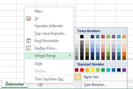 Sayfa sekmelerine farklı renkler verebilirsiniz. Bunun için sekmeye sağ tıklandığında açılan menüden Sekme Rengi seçeneğini kullanabilirsiniz. 1.4. Hücreleri Seçme Resim 1.