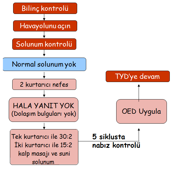 Çocuğun dolaşım ve solunumu geri geldiğinde koma pozisyonu verilir. 8 yaşından büyük ya da vücut yapısı gelişmiş çocuklarda dış kalp masajı uygulaması, çocuklara uygulanan dış kalp masajı gibidir.