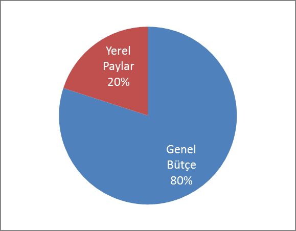 ġekil 12: Ajans Gelirlerinin Ana Gruplar Bazında Dağılımı (2010) oluşturduğu gözlenmektedir.