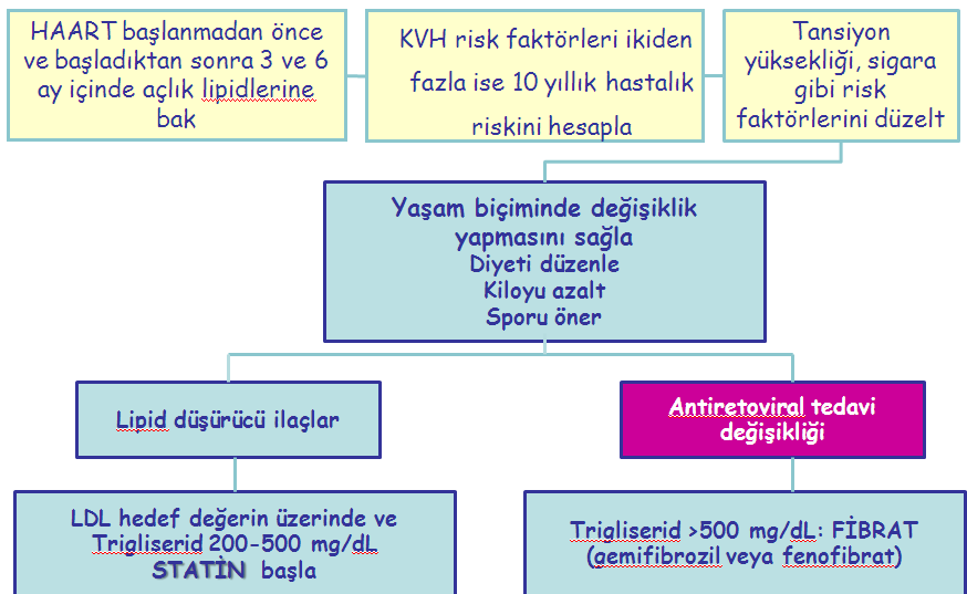 Tarih AKŞ Üre/kre Trigliserid Kolesterol LDL HDL Tedavi 17.05.