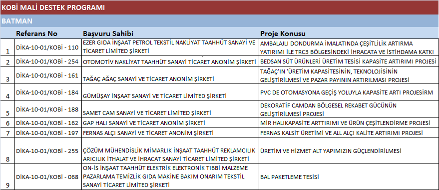 2010 YILI MALİ DESTEK