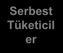 Elektrik Piyasa Yapısı Düzenlenen Faaliyetler Ġletim Dağıtım Rekabetçi Faaliyetler Üretim Toptan SatıĢ Piyasası Perakend e SatıĢ